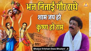 निताई गोर राधे श्याम हरे कृष्णा हरे राम | Nitai Gaur Radhe Shyam | Krishan Dass Ji | Shree Nandini