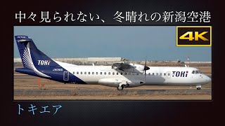 4K 中々見られない、冬晴れの新潟空港を離陸する  トキエア(Toki Air)  初号機  ATR 72-600  JA01QQ  新潟→丘珠線(BV101便)  2025年01月06日(月)