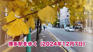 博多駅を歩く（2024年12月7日）