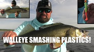 Walleye Smash with Soft Plastics! | The Tickle Tail works!!