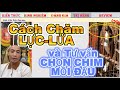 Cách Chăm Lửa và Chăm Lực hiệu quả nhất cho chào