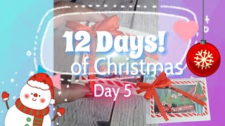 Title: 12 Days of Christmas 🎄 | Day 5: Door 4 | DIY Mini Shaker Card 🎁