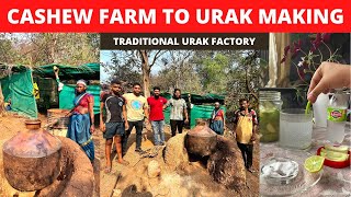 GOA MEIN MARCH \u0026 APRIL SIRF YAHI PITE HAI - TRADITIONAL URAK MAKING FACTORY ||  FULL DETAILS