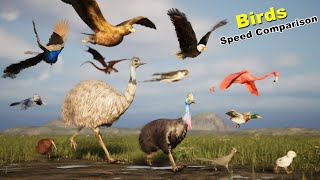 Birds Speed Comparison in 3D | Most Fastest birds | Fictional | Extinct birds |