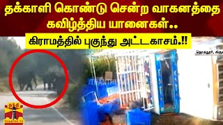 தக்காளி கொண்டு சென்ற வாகனத்தை கவிழ்த்திய யானைகள்.. கிராமத்தில் புகுந்து அட்டகாசம்.!!