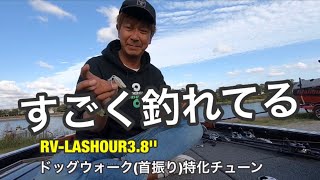 【バス釣り】すごく釣れてる【RVラッシュアワー】