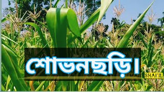 শোভনছড়ি-Beautiful Shuvonchari|| সুয়াবিল, ফটিকছড়ি- Fatickchari|| চট্টগ্রাম-Chittagong||