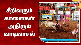 Palamedu Jallikattu | சீறிவரும் காளைகள் அதிரும் வாடிவாசல்