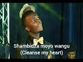 Ndanzwa izwi rako- Nathaniel Kamumvuri ft Zimpraise (Tatenda Chishanga)