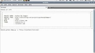Python SQL Dumper - How to set the string option for the blind SQL injection