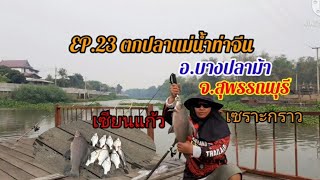 EP.23 ตกปลาแม่น้ำท่าจีน สุพรรณบุรี แก้มือสำเร็จ🎣🎣🐟🐟