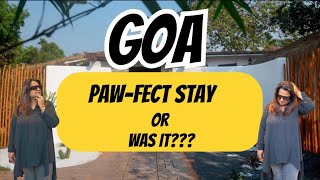 Pet Friendly Luxury Stay In Mandrem, North Goa | Habitus |Family Trip #petfriendly #northgoa