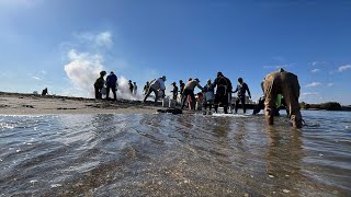 2025/1/5 夷隅川の流竹を竹炭に