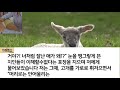 신청사연 공황장애로 비행기 못타서 제주도 사는 엄마 임종에 안간 남편이 그 사이 상간녀랑 해외여행갔다왔네요.. 그때 유서내용본 남편 통곡하며 후회하는데 사연라디오 네이트판 사이다