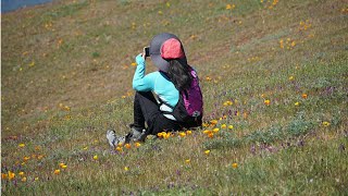 Las Trampas：征服魔鬼洞 载歌载舞 穿越花海 | Devil's Hole Trail - Sycamore Trail - Rocky Ridge View Trail