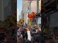 chinese new year lion dance 新年舞獅表演￼