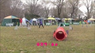 ＯＰＤＥＳ秋ヶ瀬大会2016 3 5～6  はなＳ＆Ｇ、ＪＰ３×２、ＡＧ３×２