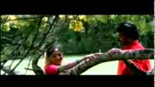 Peeli kannezhuthi-snehasaagaram  -1992