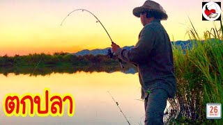 ตกปลาชิวๆ กับวิวธรรมชาติ ►Fishing lifestyle Ep.216