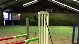 2011 BWB gelding flatwork and schooling at homeJan 2018