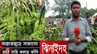 দক্ষিণবঙ্গের সবচেয়ে বড় কলার হাট ঝিনাইদহ