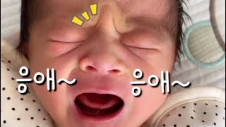 4 days old newborn | crying baby with a face like a baby bird