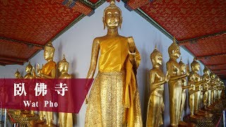 【泰愛瘋 Fun in Thai】泰國Thailand │ 曼谷Bangkok │ 臥佛寺 Wat Pho