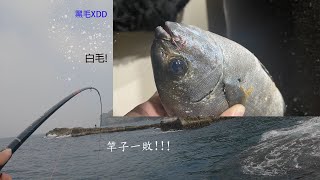 上200礁磯釣，原本想說小搞搞一下，沒想到遇到暴力魚種白毛!!!