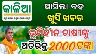 kalia yojana big update || ବଢ଼ିଲା କାଳିଆ ଯୋଜନା ଅବଧି || ଭୂମି ହୀନ ଚାଷୀଙ୍କୁ ଅତିରିକ୍ତ ୨୦୦୦ ଟଙ୍କା ମିଳିଲା