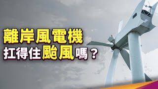 離岸風電發電量強大？遇到颱風撐得住嗎？為什麼台積電等大企業搶著買綠電？