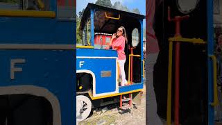 #shorts#darjeeling#toytrain#hillstation#sulekha