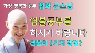 염불공부를 하시기 바랍니다. 염불의 세가지 방법? | 청화스님 법문