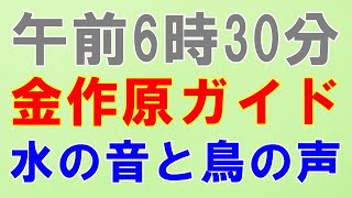 【金作原ガイド】奄美大島を代表する原生林ガイドで、物の見方で散策する感動ガイドです。