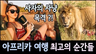 맹수의 사냥 목격?! 아프리카 사파리 여행 최고의 순간들 BEST6