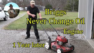 Briggs Never Change oil after 1 year