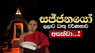 සජ්ජනයෝ ලලාට ධාතු වර්ණනාව අසත්වා! | Ven Aludeniye Subodhi Thero