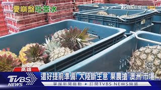 鳳梨禁銷陸! 果農憂生計 台商:來不及因應｜TVBS新聞