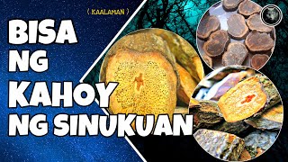 KAHOY NA SINUKUAN | AGIMAT AT ANTING ANTING | BHES TV