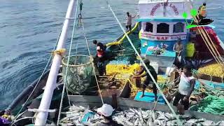 Amazing Kokaar Fishing | Deep Arabian Sea | Mackerel Fish | Tuna Fish | Karnataka