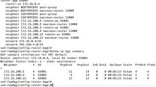 30 BGP Peer Groups