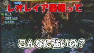 【MH4】コンビで実況プレイ　下手な二人だけでリオレイア亜種倒せるか？やってみた。