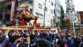 富岡八幡宮例大祭　神輿連合渡御　三好2丁目神輿　宮前（出発） 2017.08.13