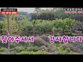 상주시 공검면 부곡리 매매13094 _작은 시골농가주택 상주_농가주택 상주_시골주택 상주부동산 상주시부동산 희망랜드 희망공인중개사 문경시부동산 문경부동산