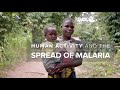 understanding malaria causes of malaria