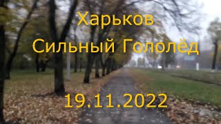 Сильный Гололёд / Харьков сегодня 19 ноября 2022 г.