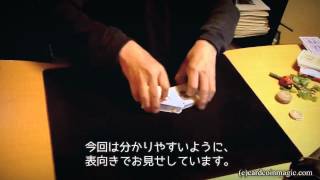 Master Poker Demonstration [Derek Dingle]　デレック・ディングルのポーカー手順