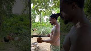 Off Grid Living On My Homestead In Jamaica | Fresh Coconut Water #shorts #offgridliving #fruit