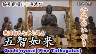 戦国動乱を乗り越え～千年のいのり「五智如来」～福井市【動画紀行・福井県】Gochi-nyorai (Five Tathagatas)