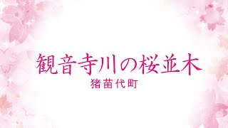 観音寺川の桜並木（猪苗代町） /　ふくしま、いいとこ。ONLINE SAKURA TOUR 2022