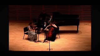 Schumann Piano Trio No. 1 in D minor, op.63, mvmt. 1